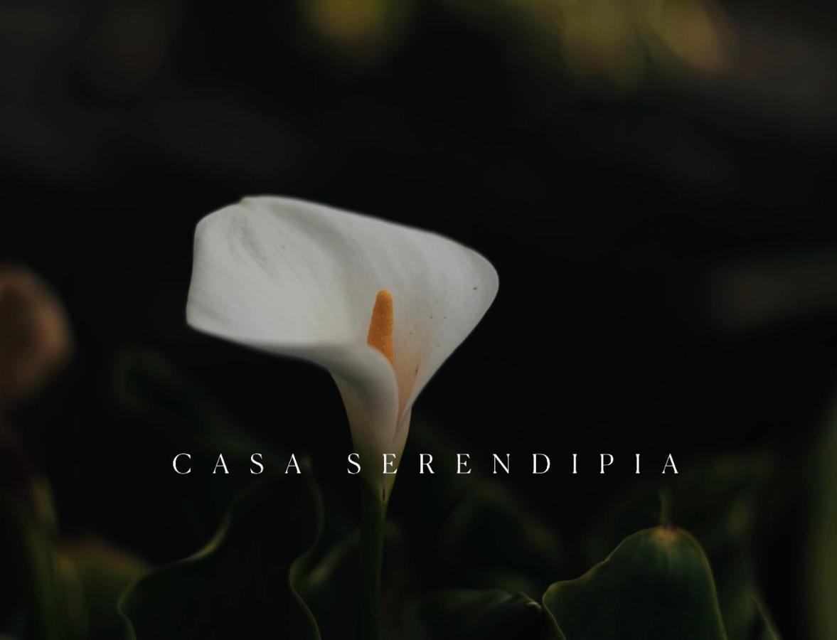 Casa Serendipia La Asomada  Zewnętrze zdjęcie